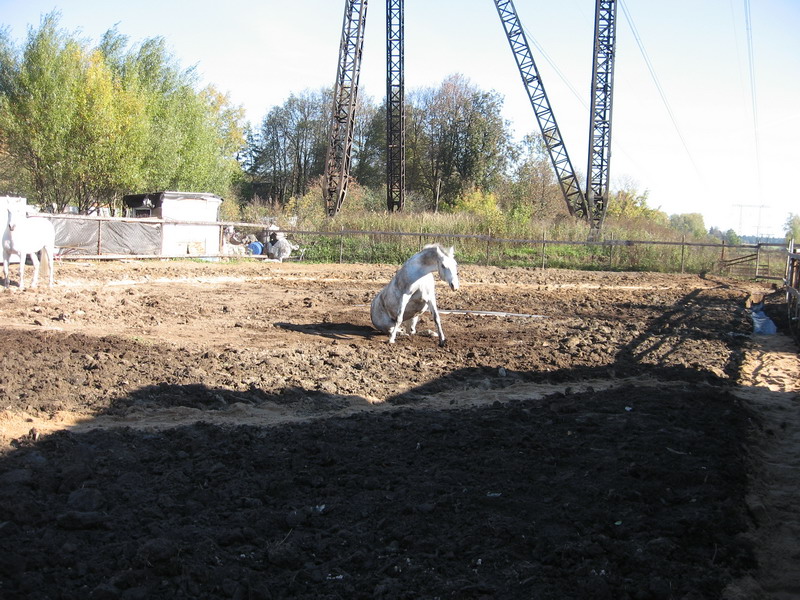 IMG_1284.jpg1.jpg"%20height="600"%20width="800